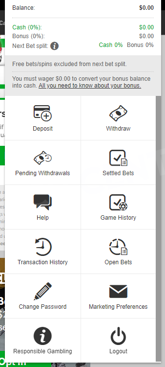 Menu for replenishing an account, withdrawing funds, etc